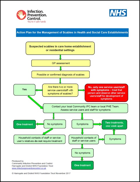 Action plan for the management of scabies in health and social care ...